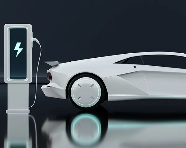 EV Charger customized